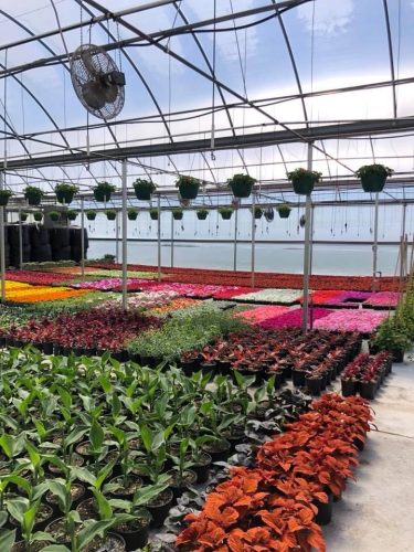 Photo Nov 07 2023, 7 31 32 AM