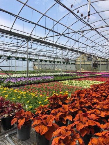 Photo Nov 07 2023, 7 31 35 AM