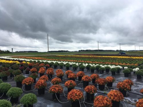 Photo Nov 07 2023, 7 32 16 AM