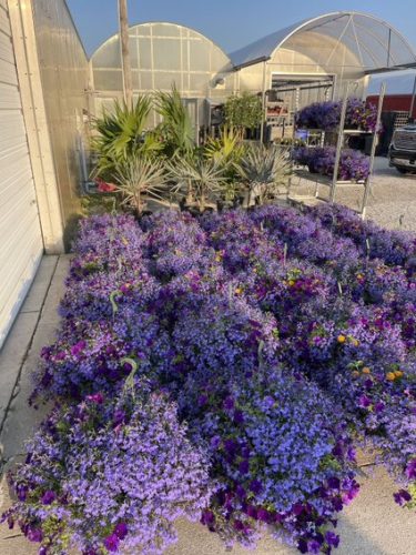 Photo Nov 09 2023, 7 10 06 AM