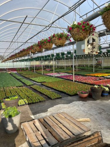 Photo Nov 09 2023, 7 10 51 AM