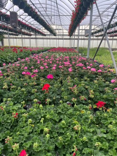 Photo Nov 09 2023, 7 10 56 AM