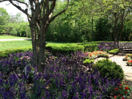 our_plants_planted_on_site_2