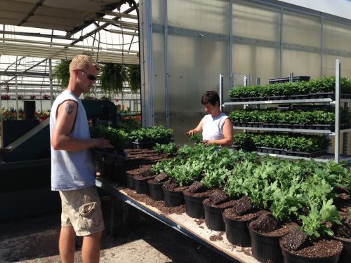 ryan and i planting mums